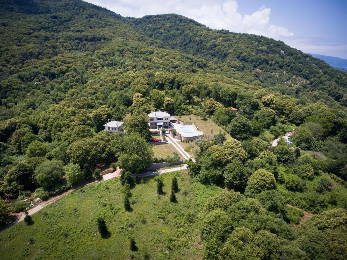Luxury Villa With Pool In Tsagarada Exterior photo