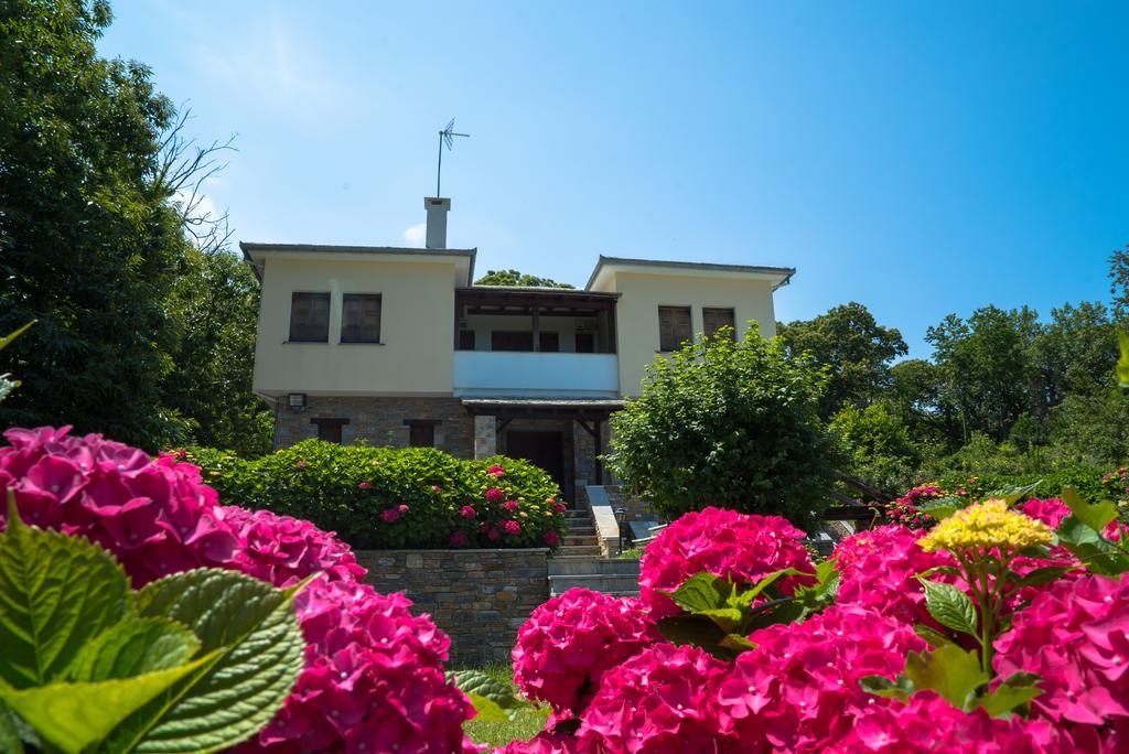 Luxury Villa With Pool In Tsagarada Exterior photo